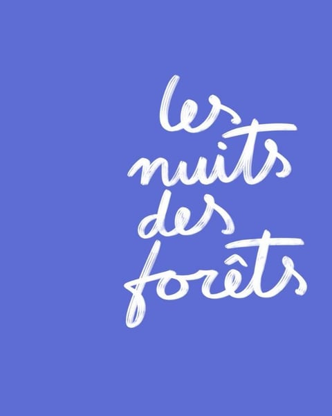 Les nuits des forêts