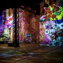 Atelier Des Lumières