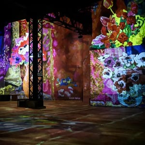 Atelier Des Lumières