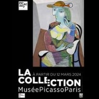 Billet Collection et Exposition, Revoir Picasso