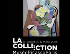 Billet Collection et Exposition, Revoir Picasso