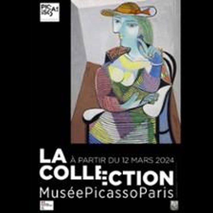 Billet Collection et Exposition, Revoir Picasso