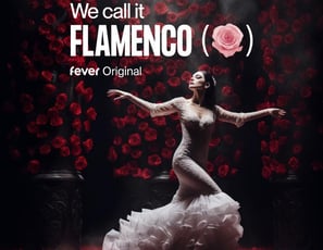 We call it Flamenco : un spectacle unique de danse espagnole