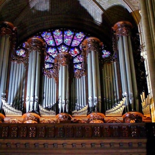 Cathédrale Notre Dame de Paris 4