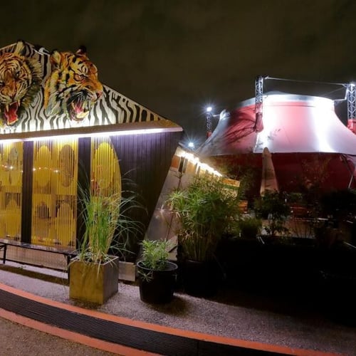 Cirque Electrique 4