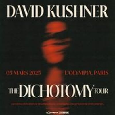 David Kushner, The Dichotomy Tour