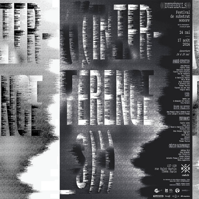 Interference _s Festival De Substrat Sonore 2025