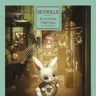 La Maison Deyrolle expose Benjamin Lacombe