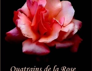 Quatrains de la Rose