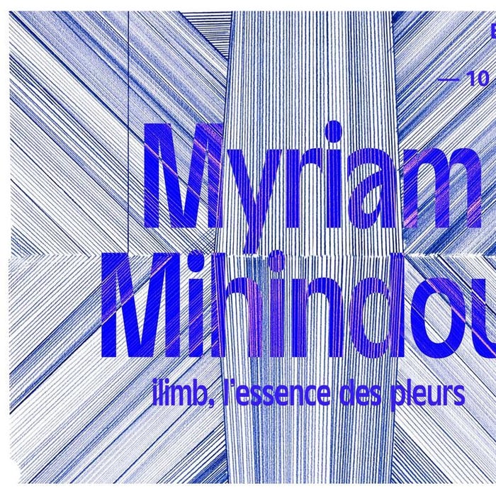 Expositions temporaires : La réserve des non-dits, Myriam Mihindou