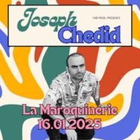 Joseph Chedid en Concert