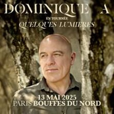 Dominique A, Quelques Lumières