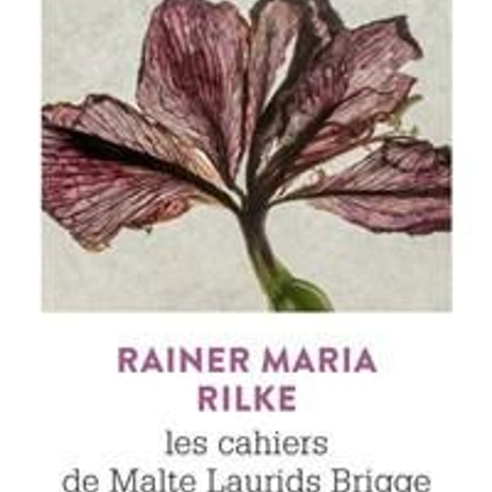 Les carnets de Malte Laurids Brigge de Rainer Maria Rilke