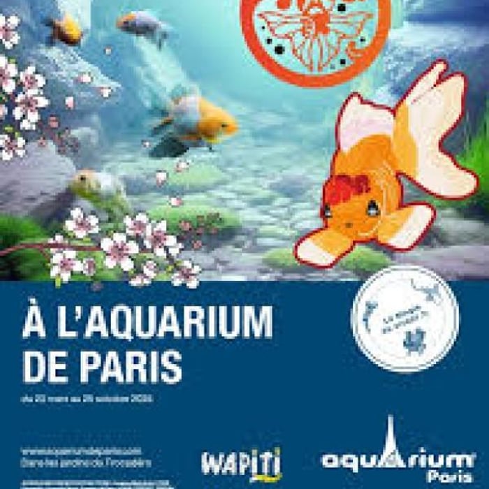 Kawaii, l'art japonais du poisson rouge