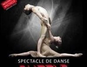 Le jeune Ballet Européen dans Puzzle