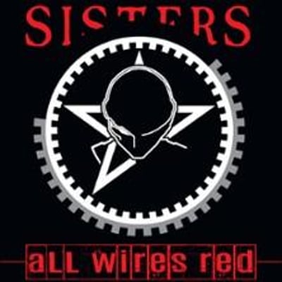 The Sisters of Mercy