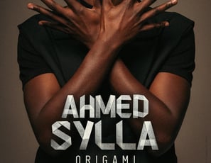 Ahmed Sylla, Origami 