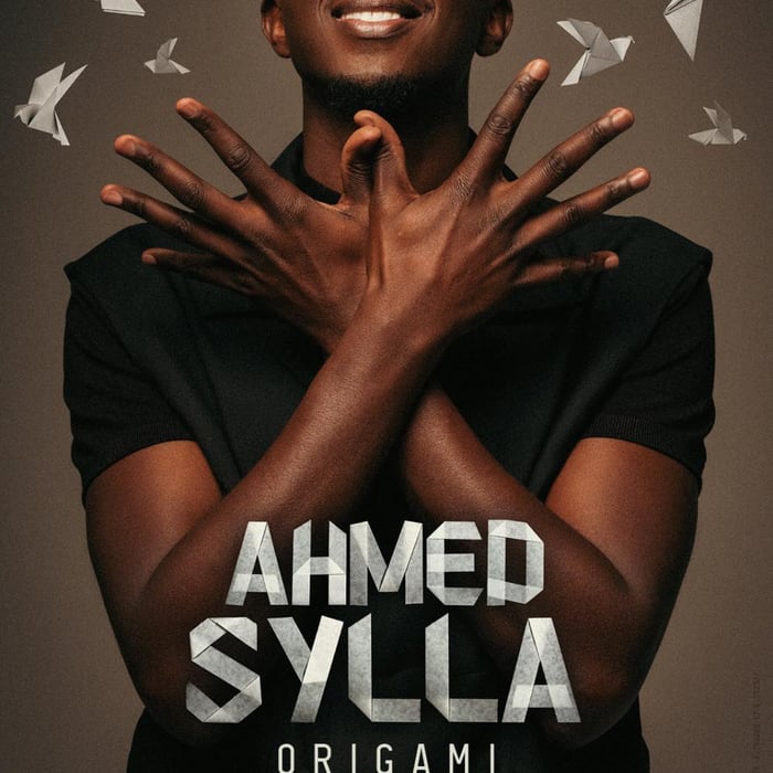 Ahmed Sylla, Origami 