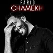 Farid Chamekh