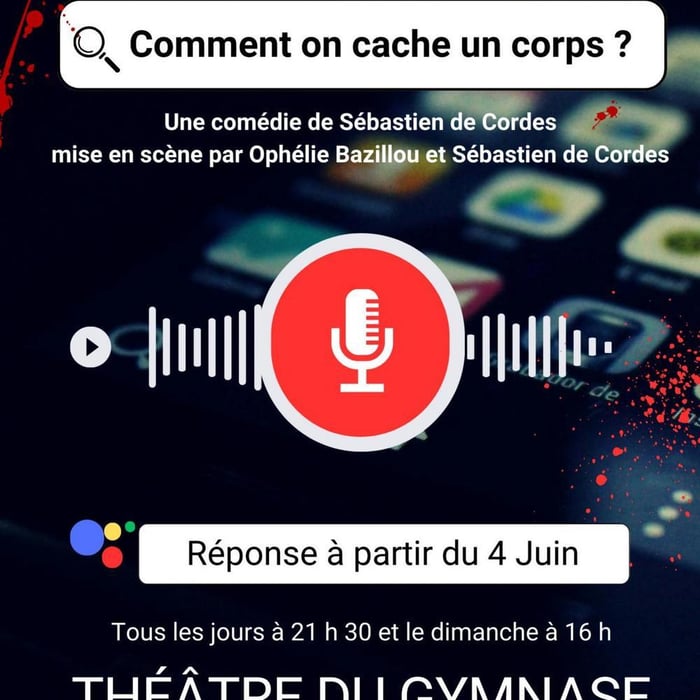 OK Google comment on cache un corps' (Petit Gymnase3)