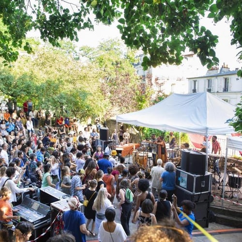 Festival Rhizomes 3