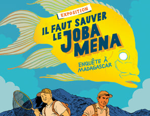 Il faut sauver le Joba Mena : enquête à Madagascar