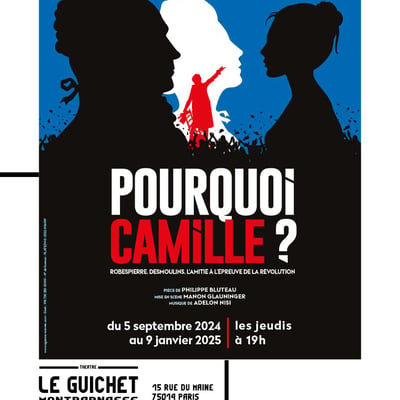 Pourquoi Camille ? UN COUP de coeur d'Avignon enfin à Paris !