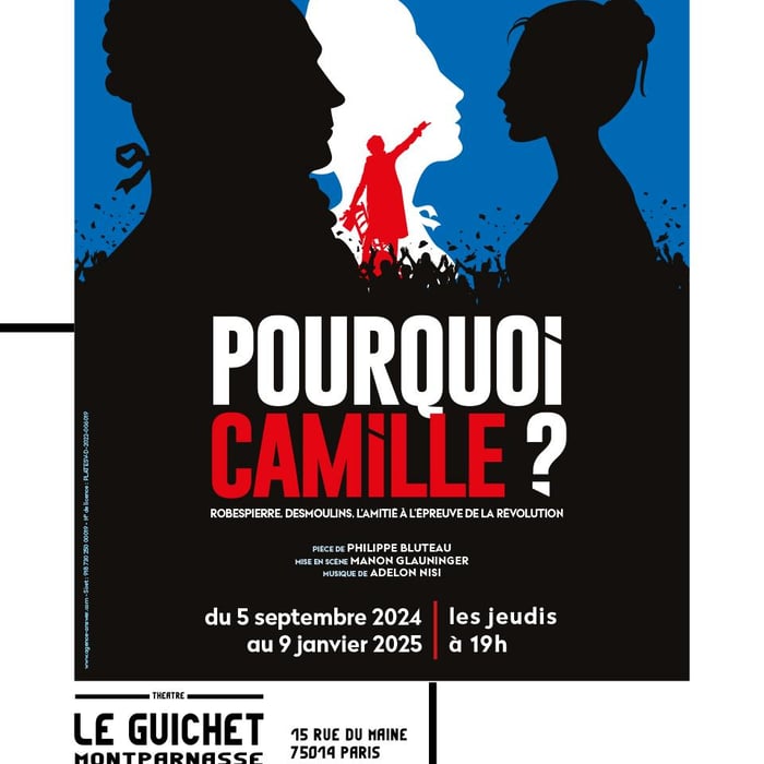 Pourquoi Camille ? UN COUP de coeur d'Avignon enfin à Paris !