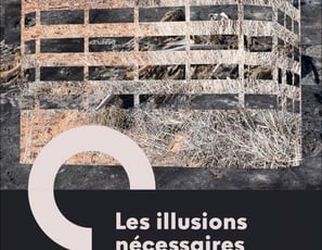 Les Illusions Nécessaires