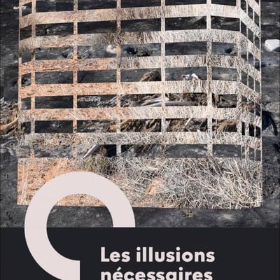 Les Illusions Nécessaires