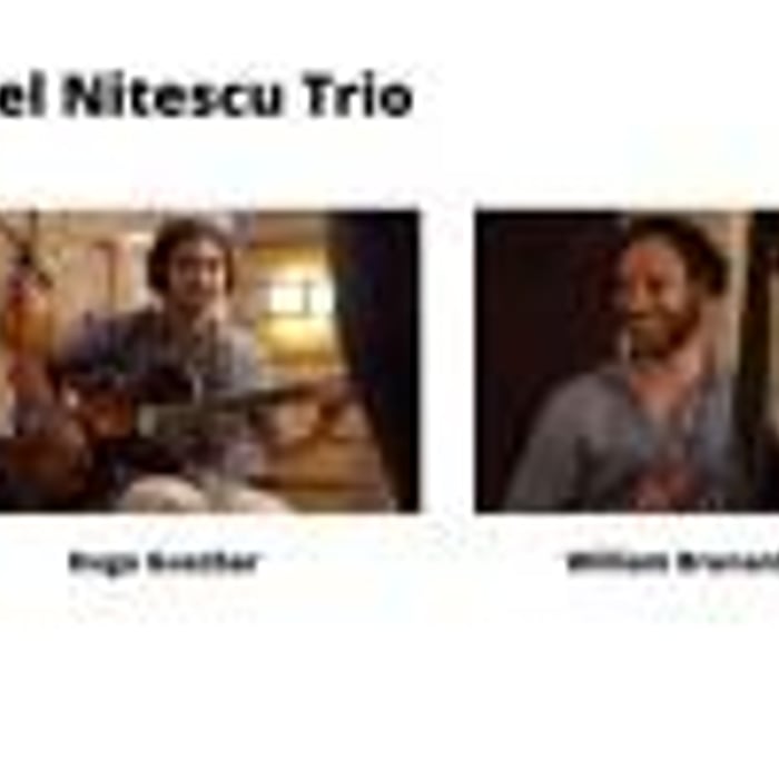 Costel Nitescu Trio