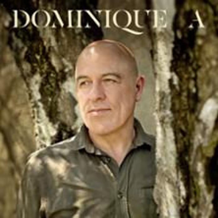 Dominique A, Tournée