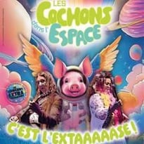 Les Cochons dans l'Espace