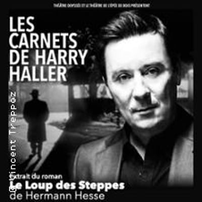 Les Carnets de Harry Haller