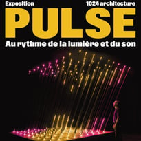 Pulse