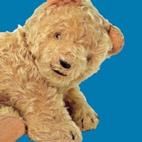 Mon Ours en Peluche