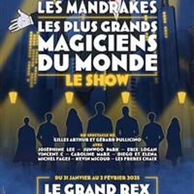 Les Mandrakes, le show