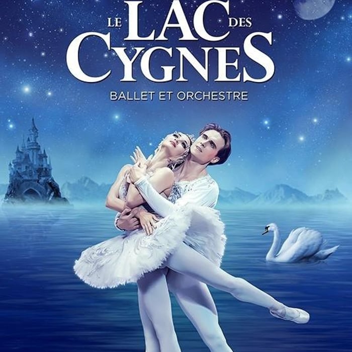 Le lac des cygnes