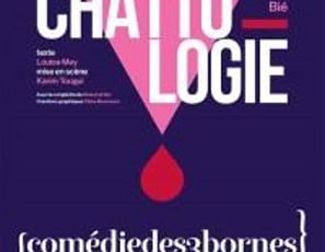 Chattologie