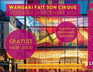 Spectacle gratuit de cirque, Wangari fait son cirque !