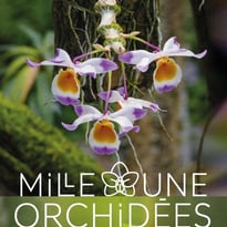 Mille et Une Orchidées