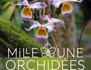 Mille et Une Orchidées