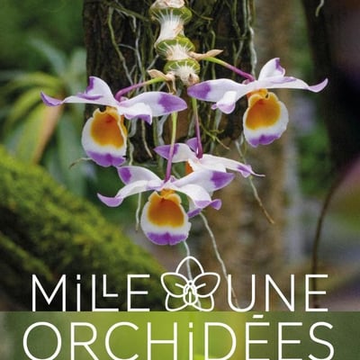 Mille et Une Orchidées