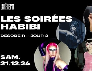 Les Soirées Habibi, Désobéir !, Jour 2