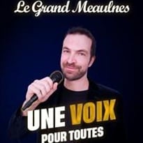 Le Grand Meaulnes dans Une voix pour toutes