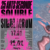 Exposition 25 Arts Seconde : Soluble et Simulacrum