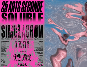 Exposition 25 Arts Seconde : Soluble et Simulacrum