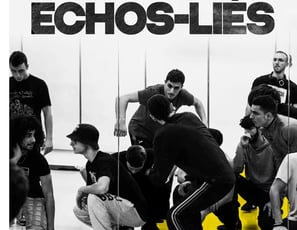 Les Echos-liés en création