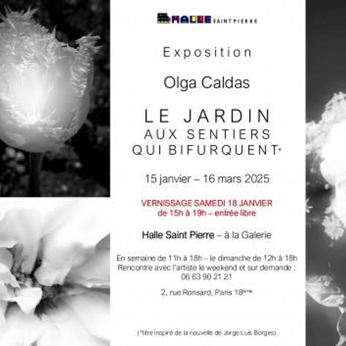 Le Jardin aux Sentiers qui Bifurquent : Olga Caldas