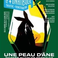 Une Peau D'âne